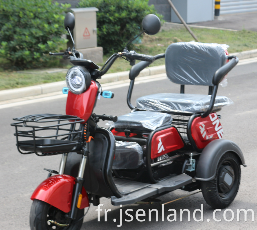 Adult Cargo Best Price Electric Tricycle